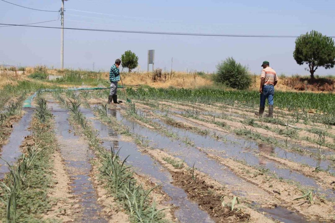 Gençlerin masa başı iş sevdası Türk tarımına alarm verdiriyor