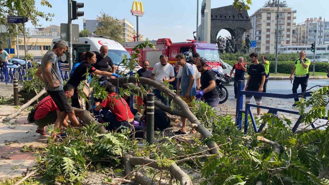 Devrilen ağacın altında kalarak yaralandı