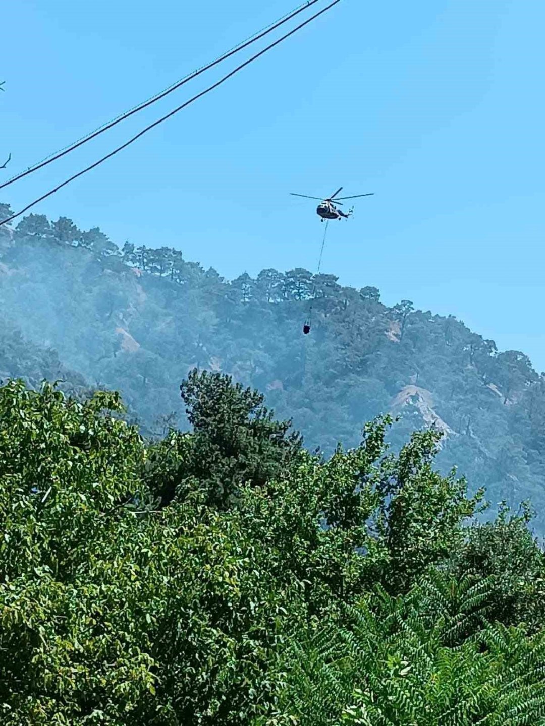 Kuyucak’taki orman yangınının sebebi belli oldu