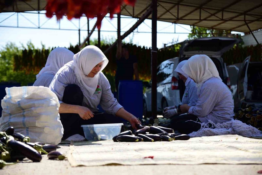 Patlıcan Vadisi’nden dünya sofralarına