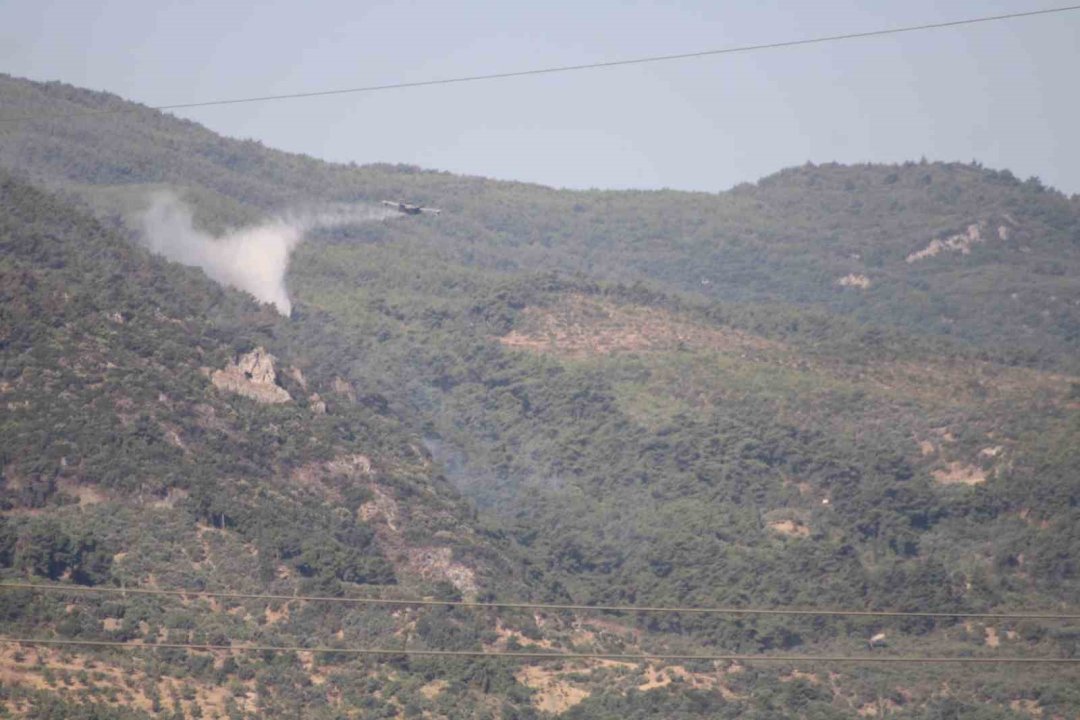 Aydın’daki orman yangını kontrol altında