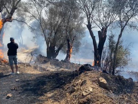 Bodrum’daki yangına müdahale sürüyor