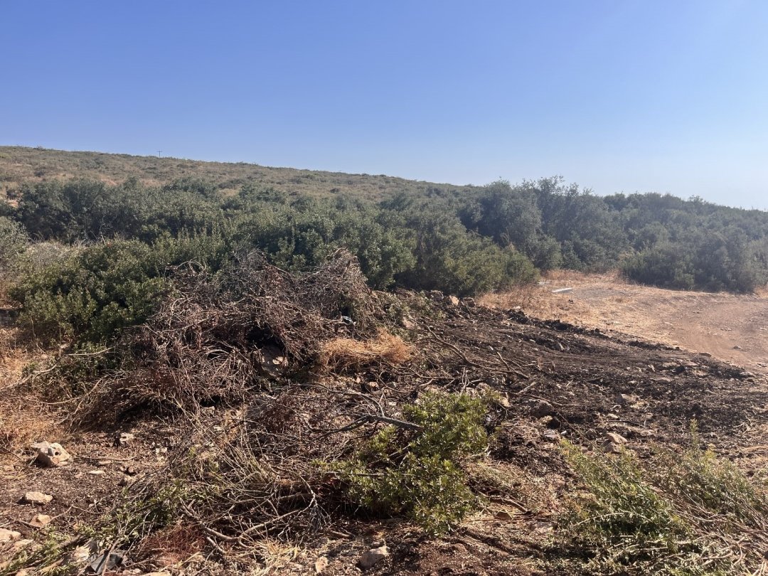 Didim’de hazine arazisinde izinsiz yer açan şahıs jandarmaya takıldı