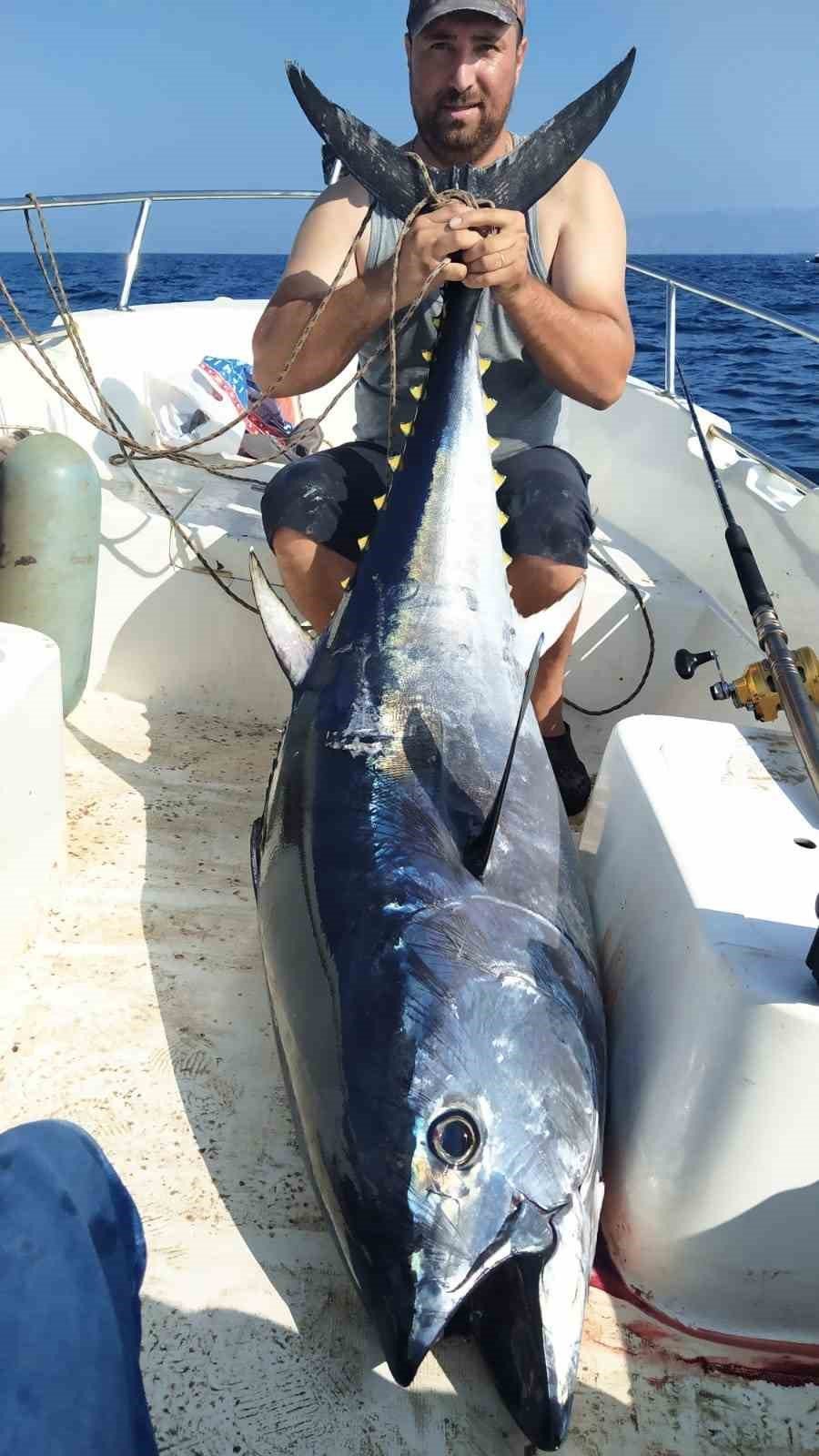 Söke’de amatör balıkçının yakaladığı dev mavi yüzgeçli orkinos kayıt altına alındı