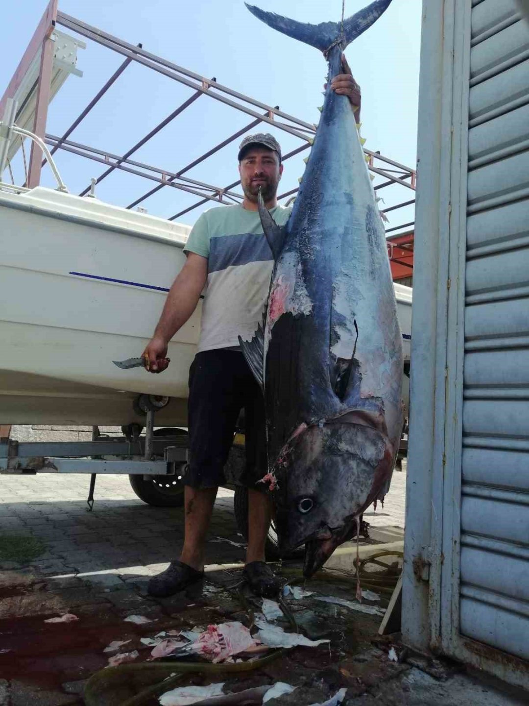 Söke’de amatör balıkçının yakaladığı dev mavi yüzgeçli orkinos kayıt altına alındı