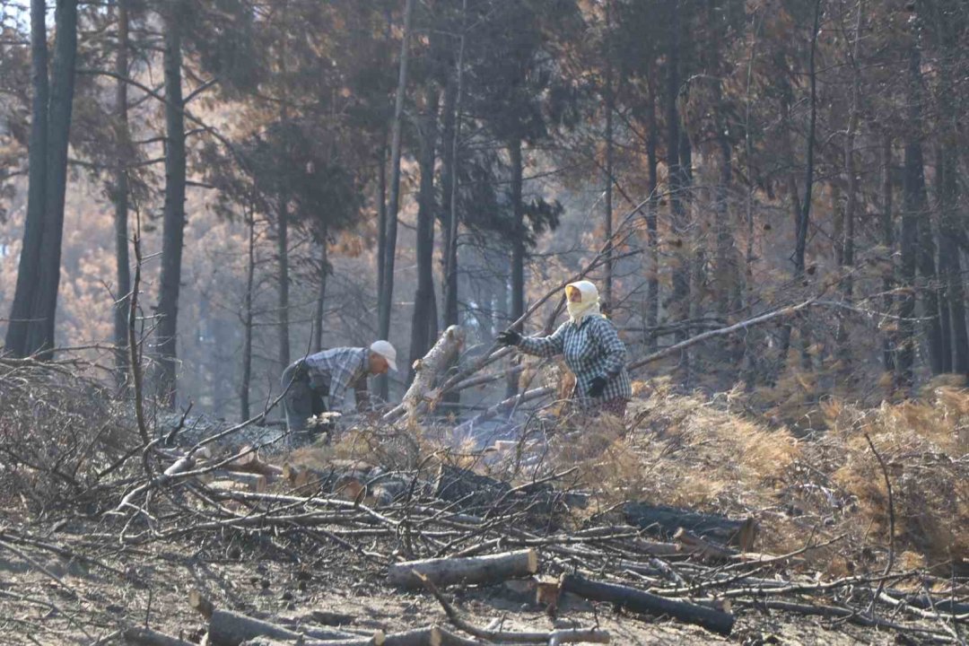 Bozdoğan’da yanan ormanlık alanda incelemelerde bulunuldu