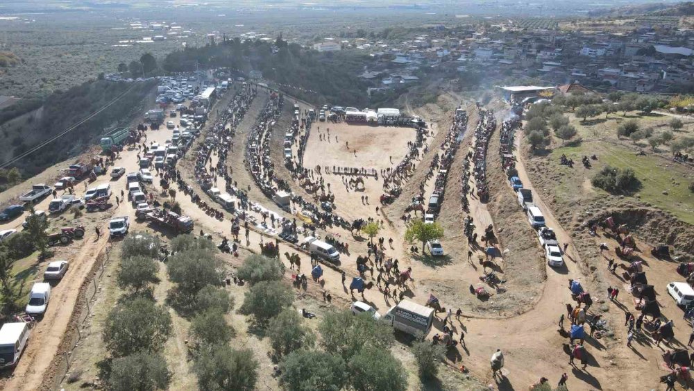 Kuyucak’ta pehlivan develer şampiyonluk için güreşti