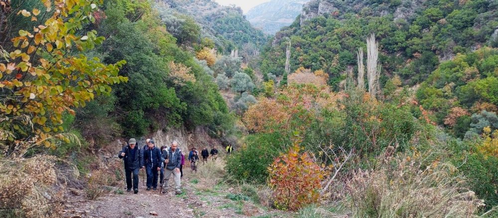 Doğaseverler özgün klima özelliği ile bilinen Koçak Kanyonu’na dikkat çektiler