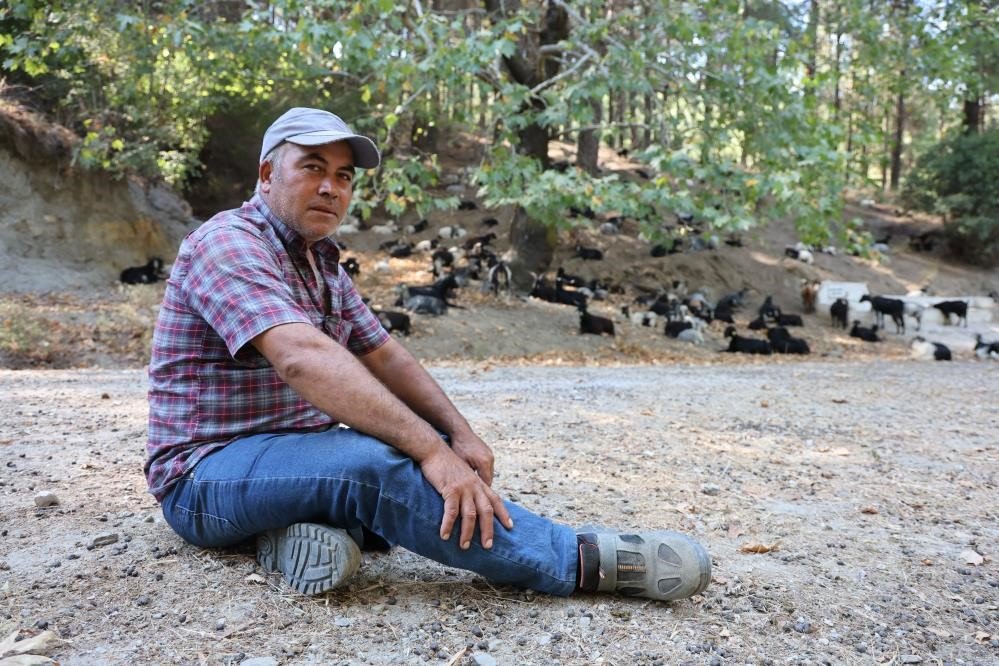 Koyun, keçi ve çobanların kıymeti bilinmedi, ülkenin en büyük sorunu yangınlar oldu