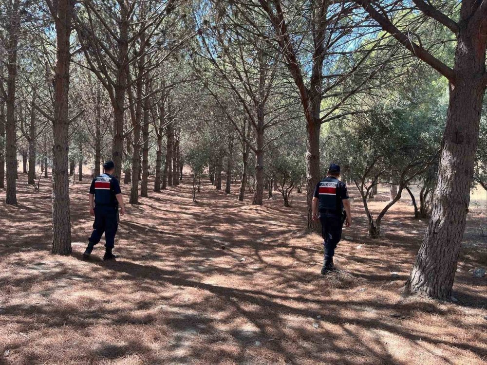 Ormanlık alanlara sıkı denetim