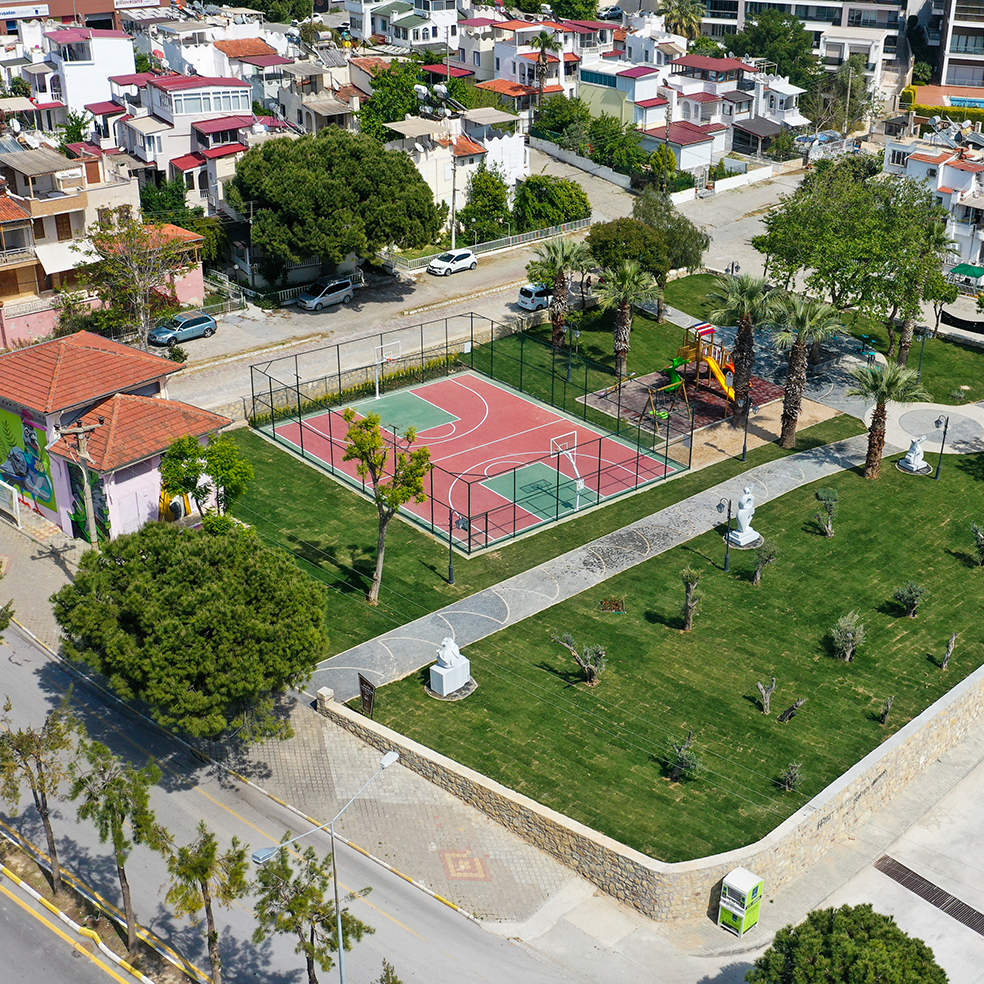 altin-guvercin.jpg