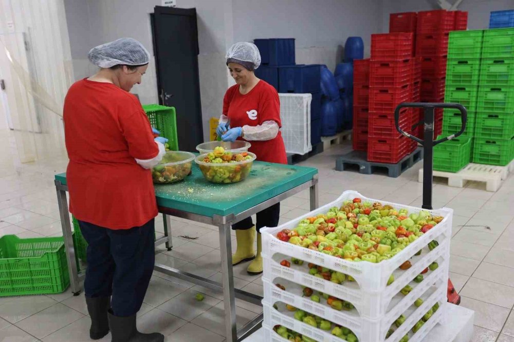 Efeler’in Yöresel Ürün Çeşitliliği 63’e Yükseldi