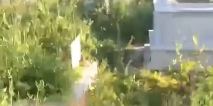 ÖZLEM ÇERÇİOĞLU'NUN ÖLÜYE SAYGISI YOK